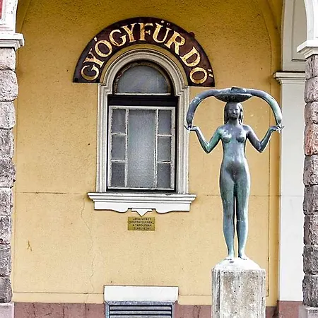 Tisza Es Thermalfuerdo Hotel 3*