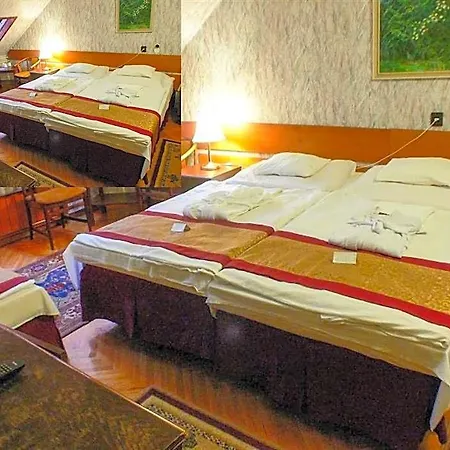 Hotel Tisza Es Thermalfuerdo Szolnok
